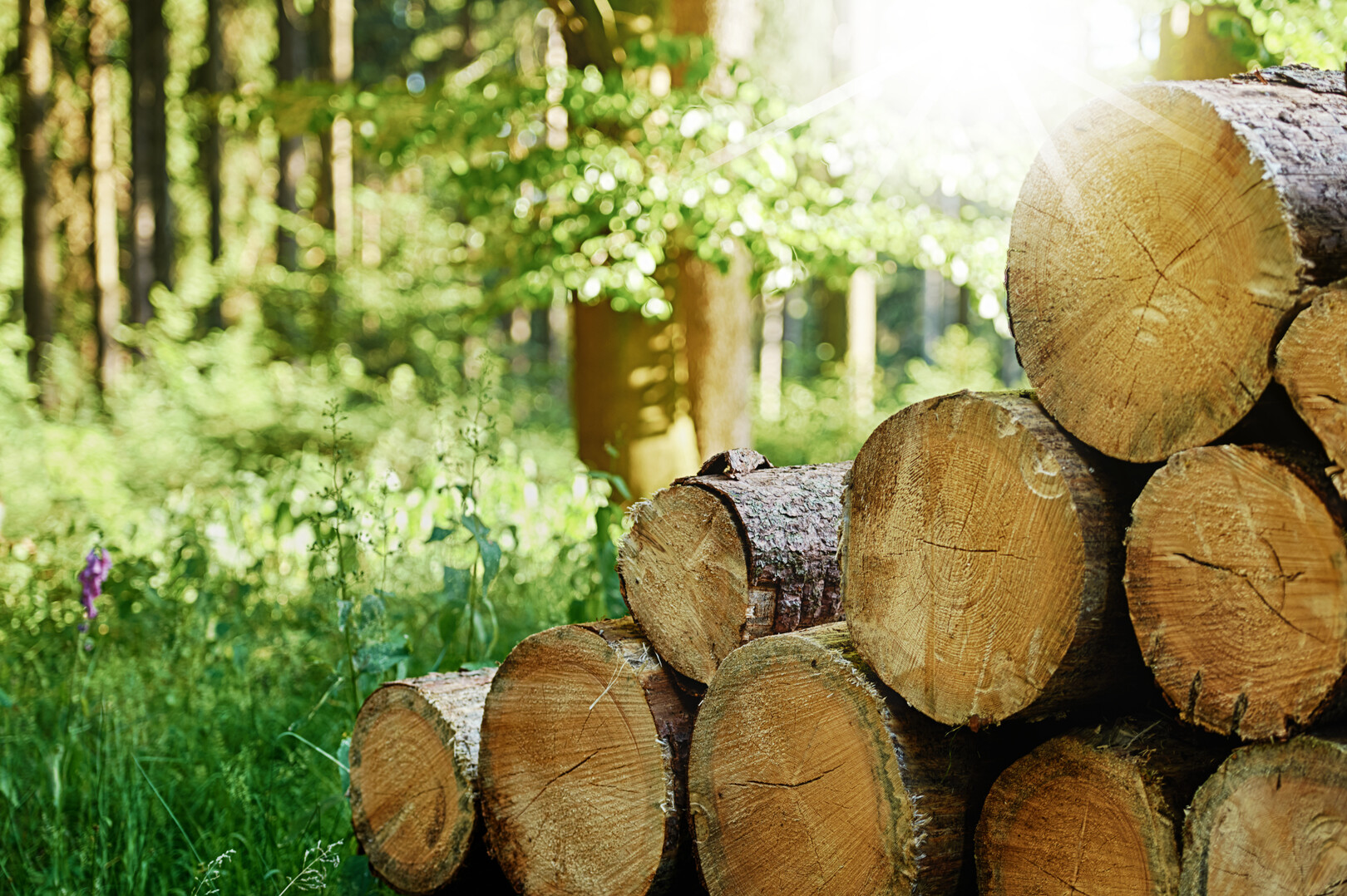 Heizen mit Holz